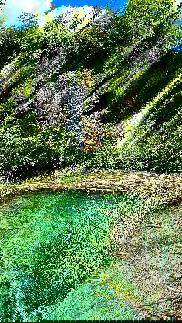 taylor.creeden taylor.creeden archive image