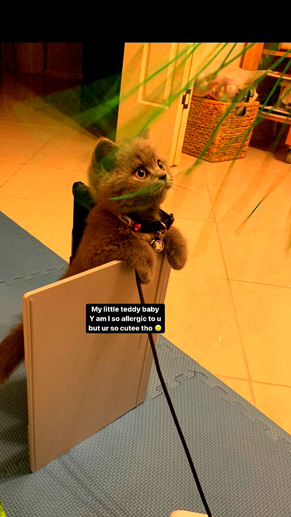 angelwithashotgunxx archive image