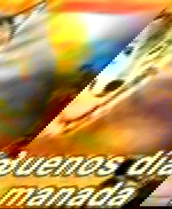 mosssaico mosssaico archive image