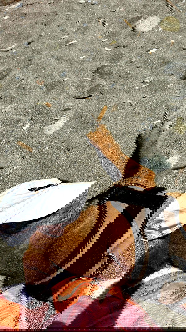 manjolamuriqi manjolamuriqi archive image