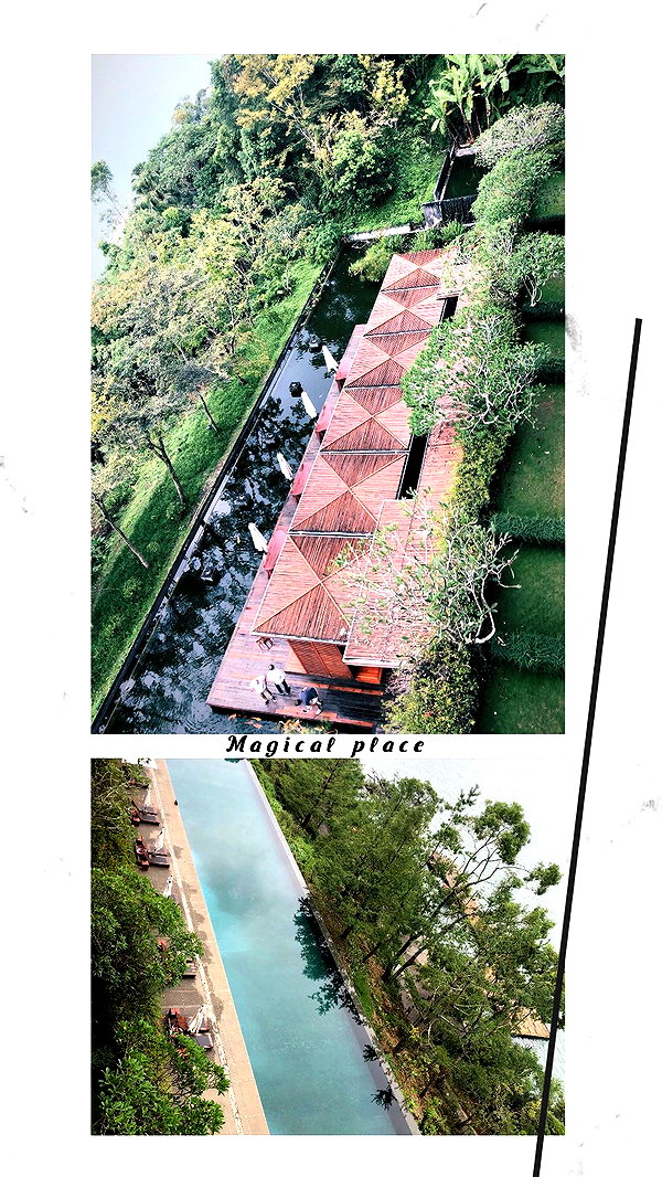 barzomer instagram image archive image