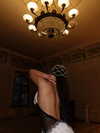alishevs Altpins Profile Picture