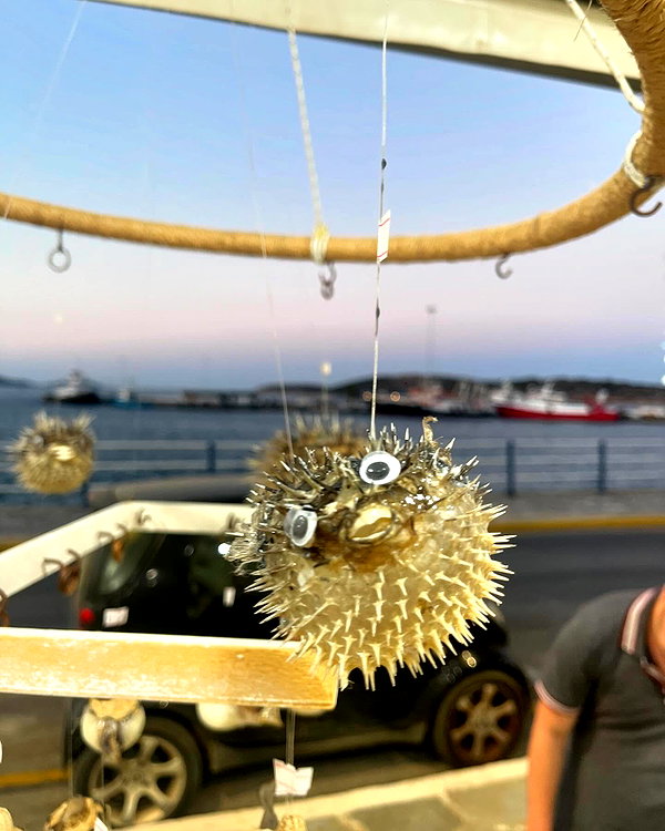 lishai_halevi instagram image archive image