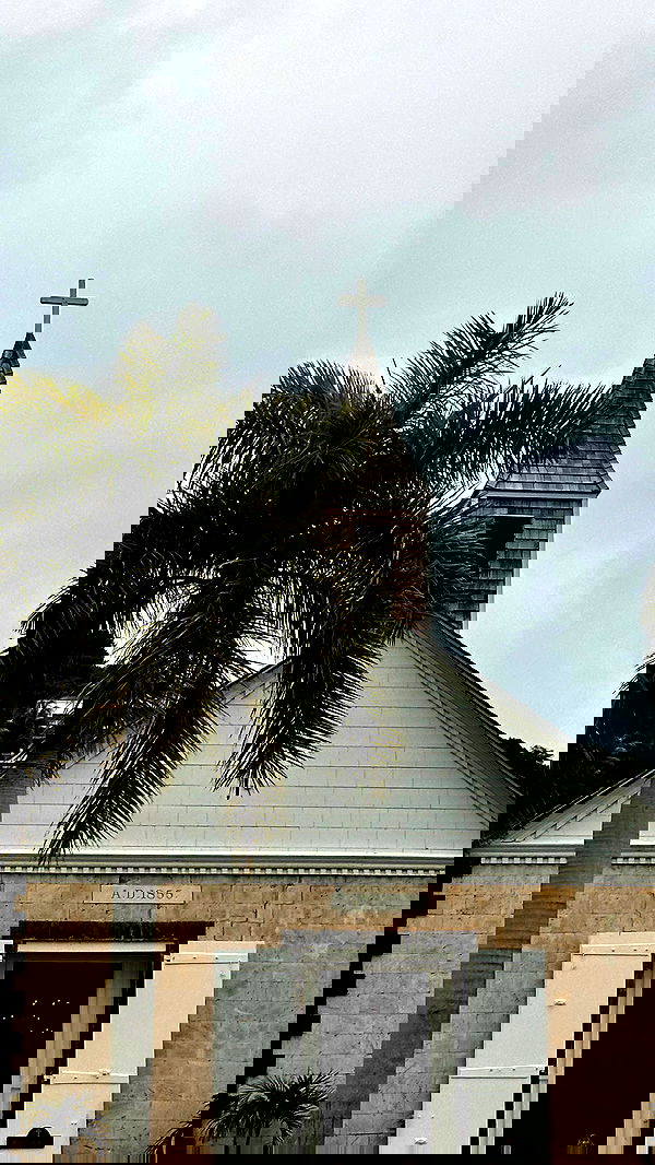 taylor.creeden taylor.creeden archive image