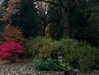 forestowwwl Altpins Profile Picture
