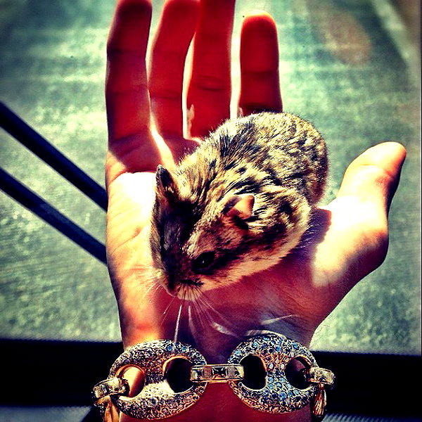 lilbieber instagram image archive image