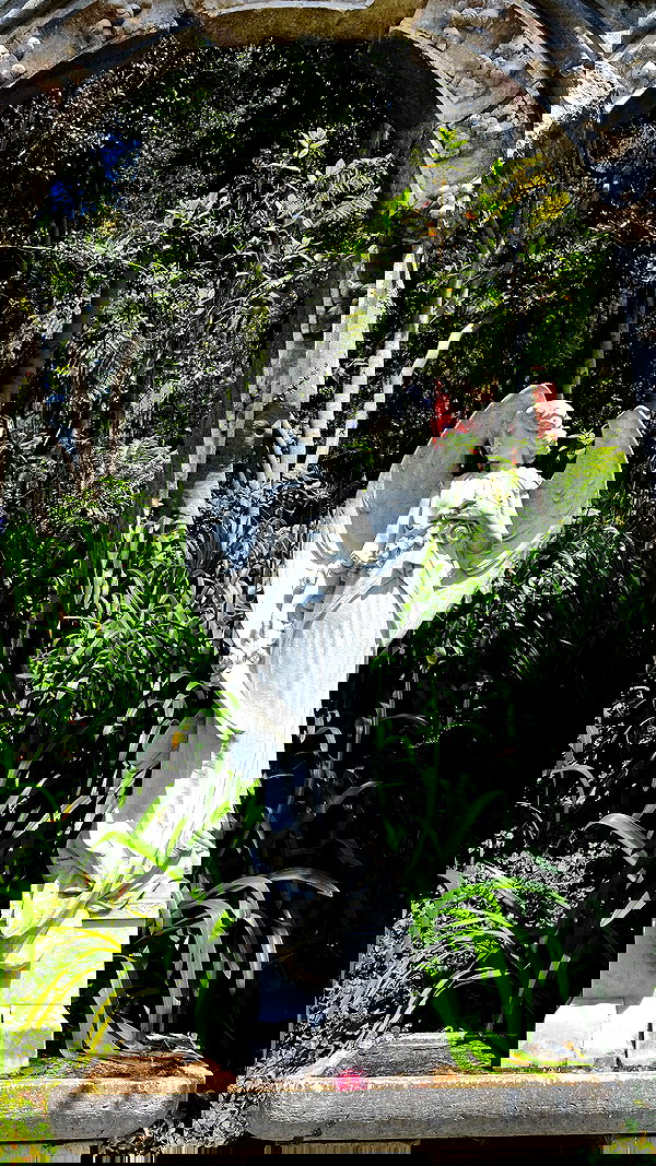 tamagotkri tamagotkri archive image