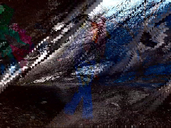 twodollie twodollie archive image