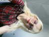 lulymakima Altpins Profile Picture