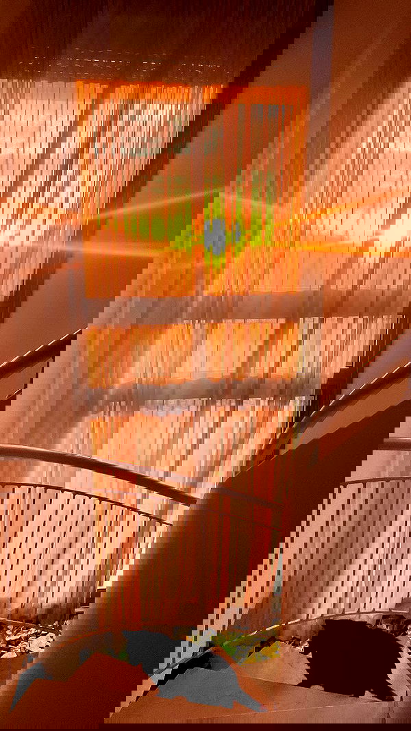 elianachetrit elianachetrit archive image