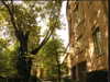 liya.barsky Altpins Profile Picture
