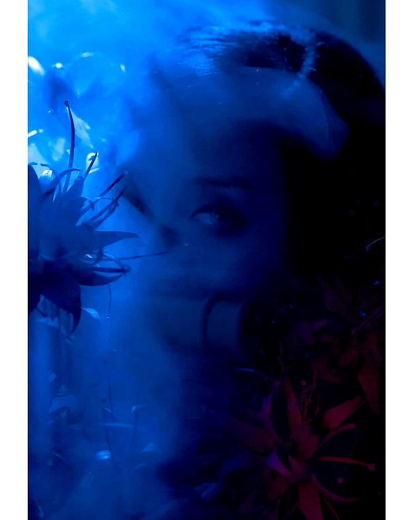 muze instagram image archive image