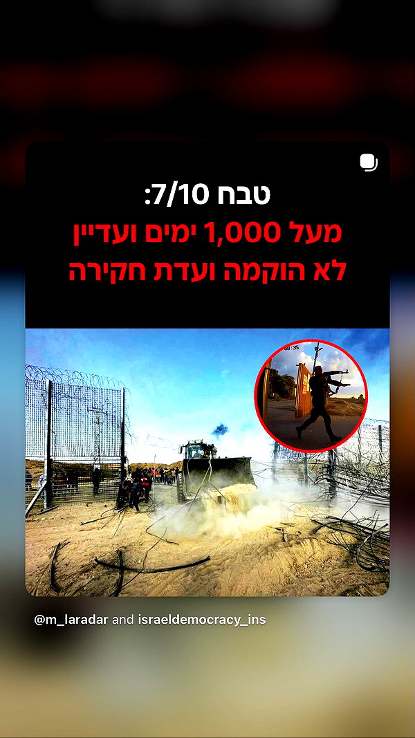 alma.almog instagram image archive image