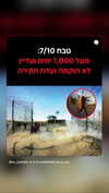 alma.almog Altpins Profile Picture