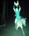alice_hez Altpins Profile Picture