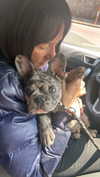 rott3nbambi Altpins Profile Picture
