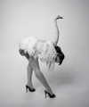 my_dear_petra Altpins Profile Picture