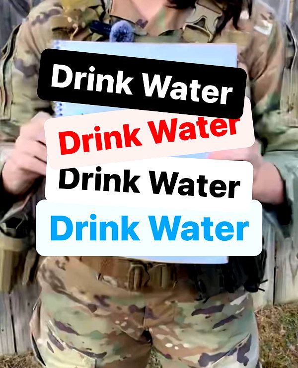 war_hamster6 instagram image archive image