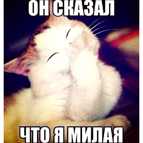 sychevskaya instagram image archive image