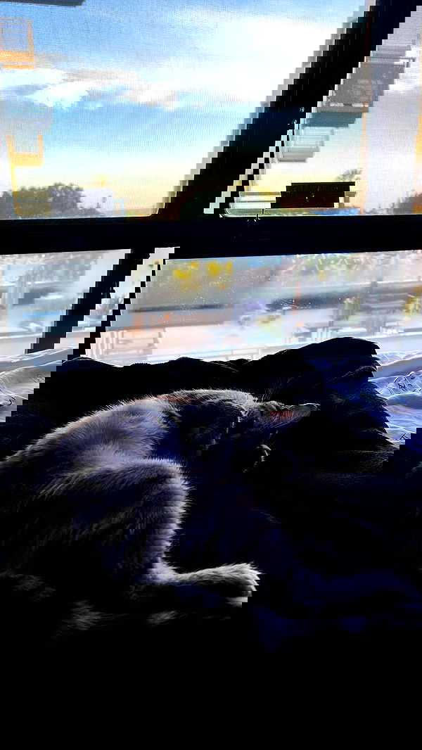 suikomuu suikomuu archive image