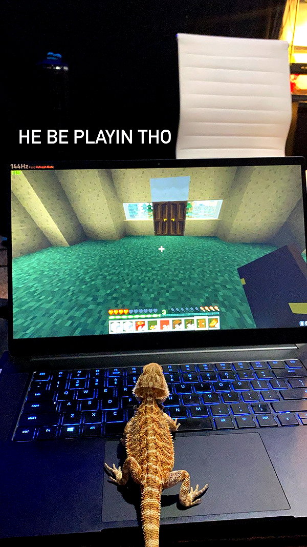 Archived image from @lilmochidoll on Instagram