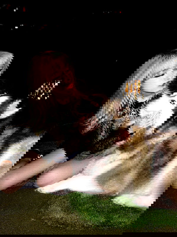 iluvmeww iluvmeww archive image