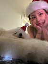 ll.lu1s Altpins Profile Picture