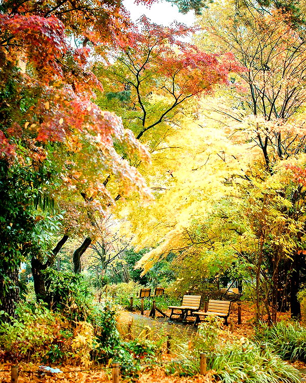 muze instagram image archive image
