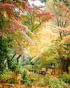 muze Altpins Profile Picture