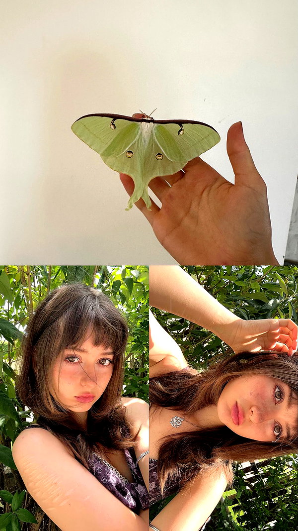 f4iryybl00d archive image
