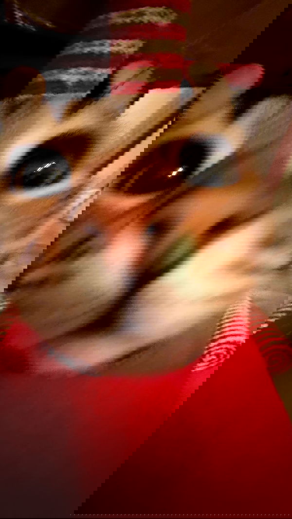 laurinchhhe laurinchhhe archive image