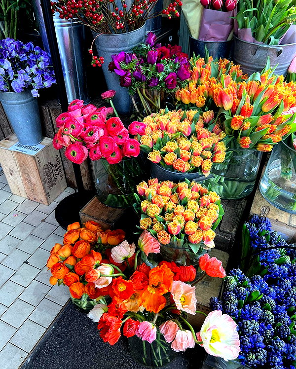 sullivang_ instagram image archive image