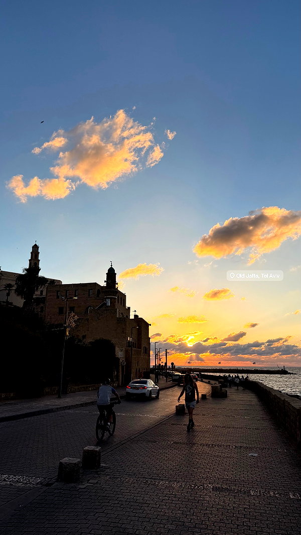 anyarodionov instagram image archive image