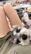 miisu000 Altpins Profile Picture