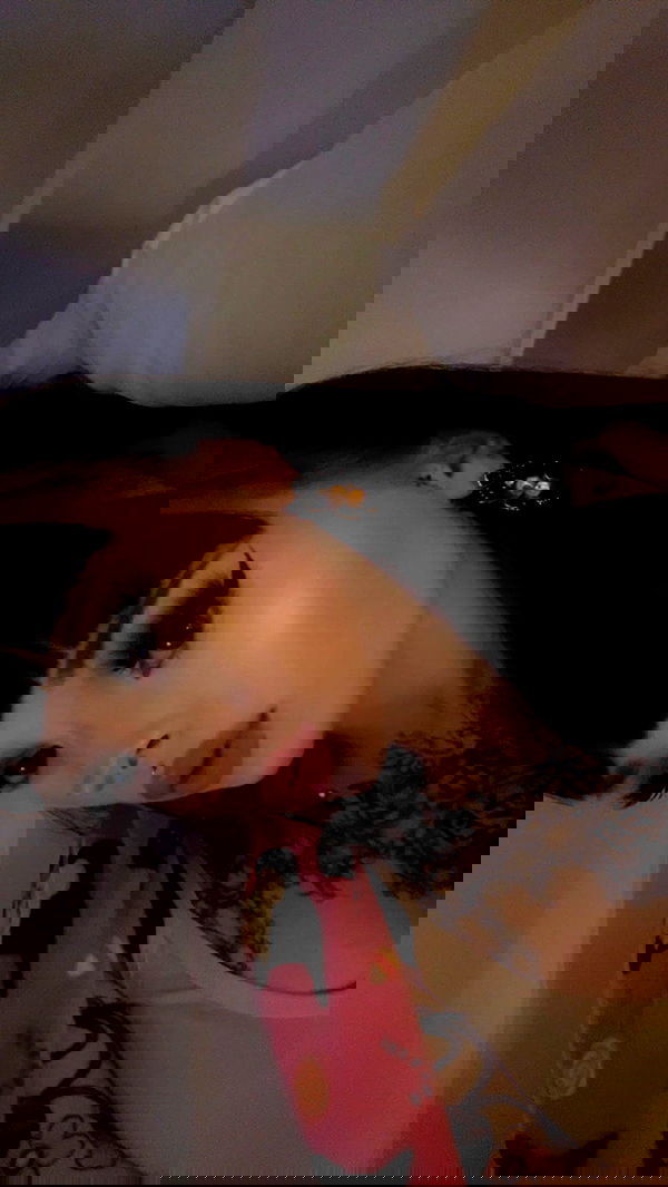 vwnrottie vwnrottie archive image