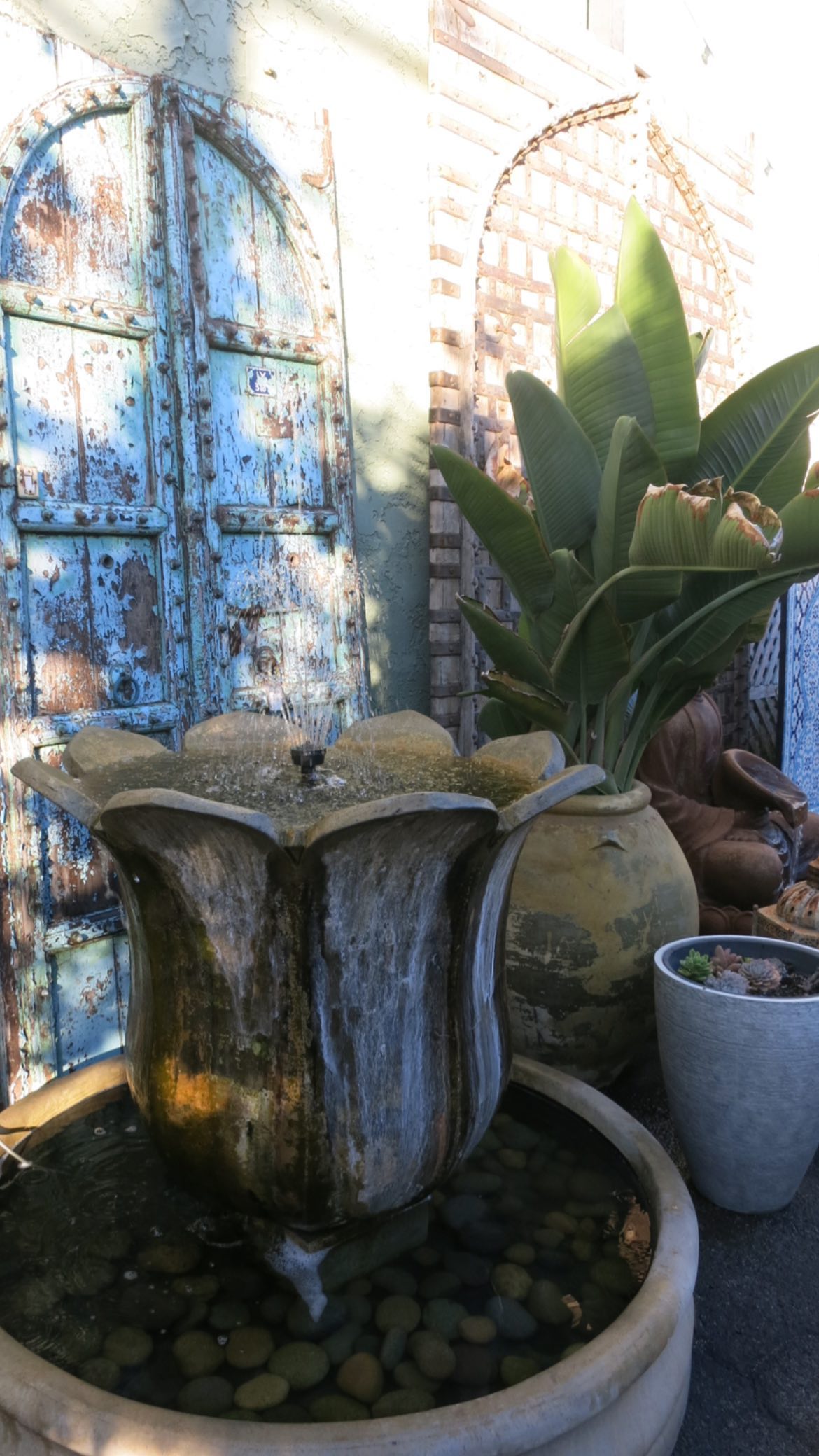 leonanaomii instagram image archive image