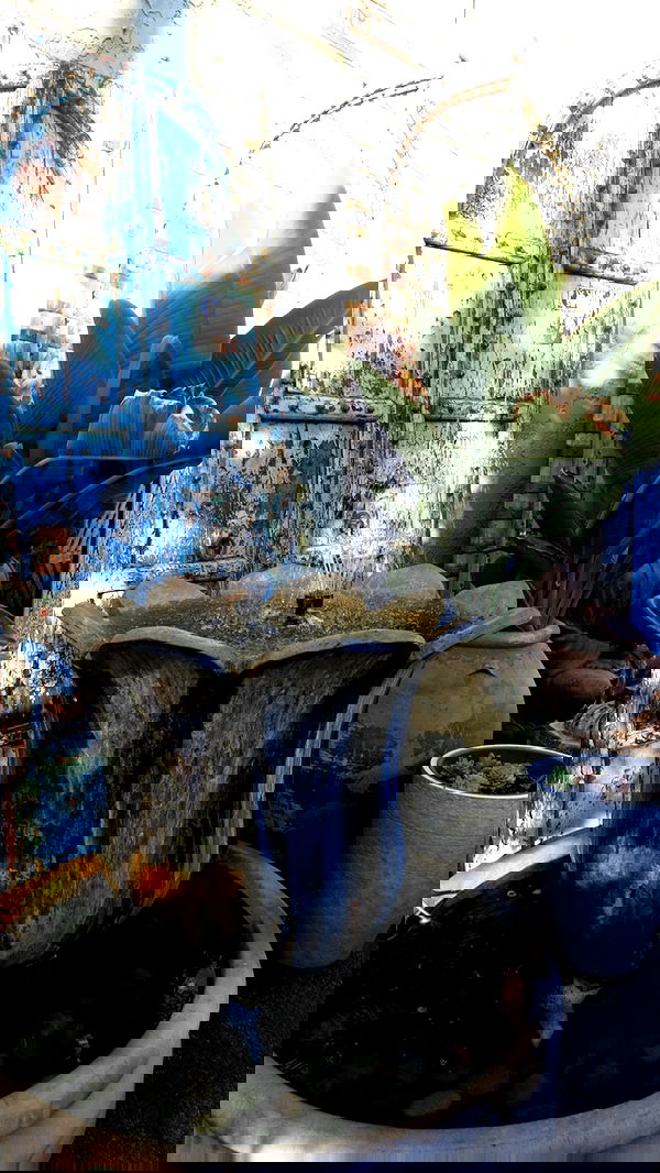 leonanaomii image ~ Altpins