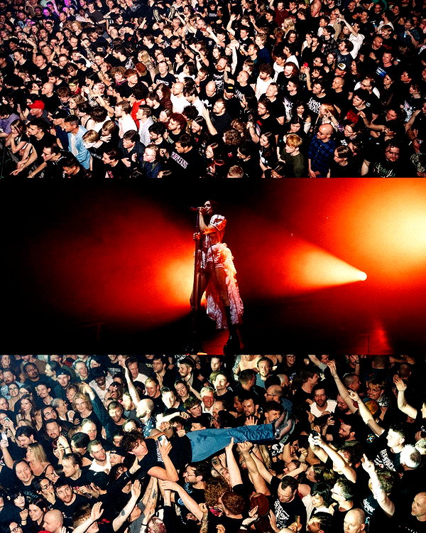impoppy instagram image archive image