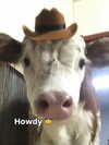 milkibunshehe Altpins Profile Picture