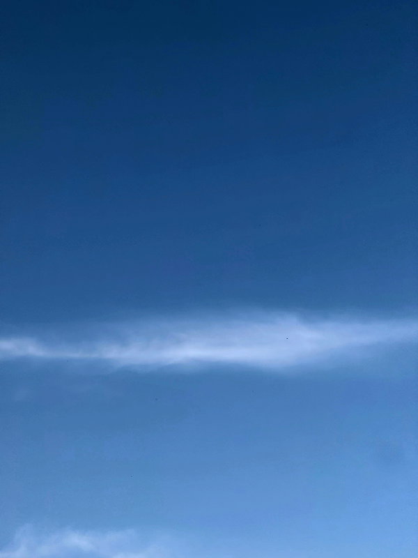 danamrts instagram image archive image