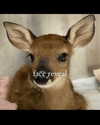 rachelchaleff Altpins Profile Picture