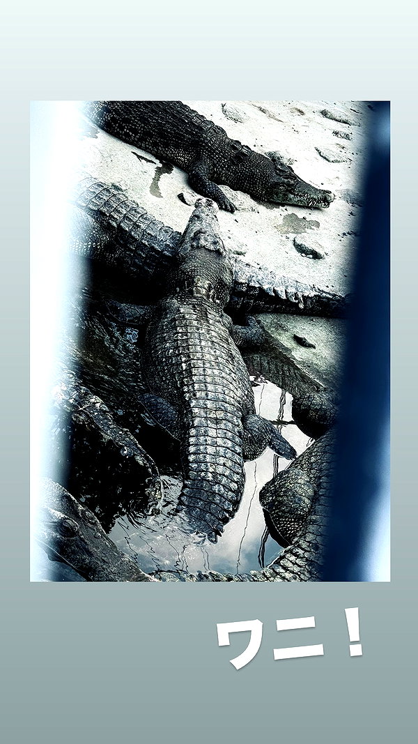 nanasemeron instagram image archive image