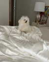 ll.lu1s Altpins Profile Picture
