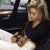 gigihadid Altpins Profile Picture