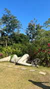 _mashachka_ Altpins Profile Picture