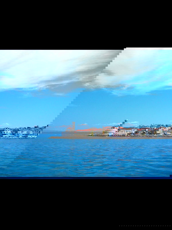 ellamwatts_ ellamwatts_ archive image