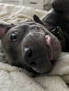 _m_a_y_c_ Altpins Profile Picture