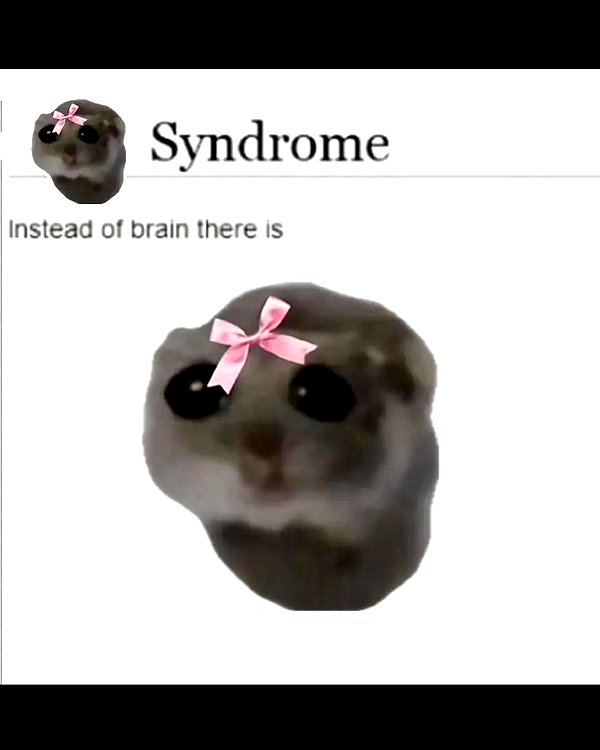 leanbeefpatty instagram image archive image