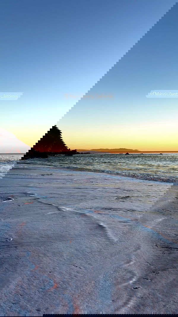 carolinezalog carolinezalog archive image