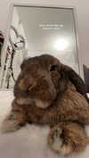 danielle.mercedie Altpins Profile Picture